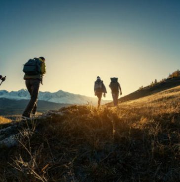 Group of young hikers walks in mountains at sunset time